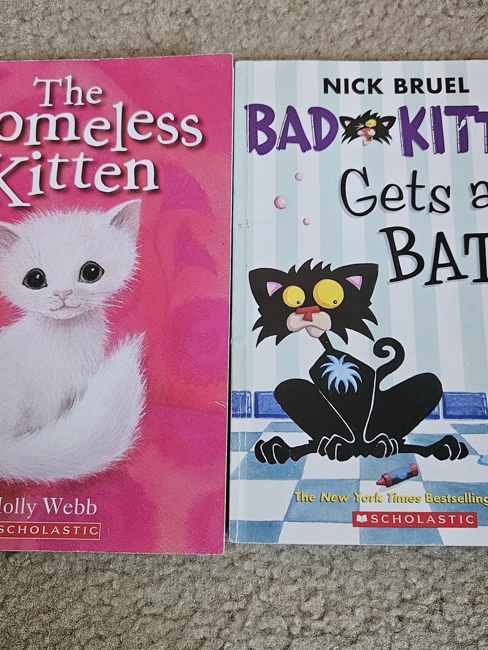 Scholastic Pink and Light Blue Cat Book Pair - The Homeless Kitten & Bad Kitty